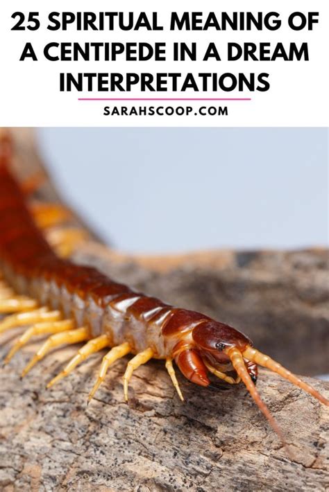 spiritual meaning of a centipede in a dream